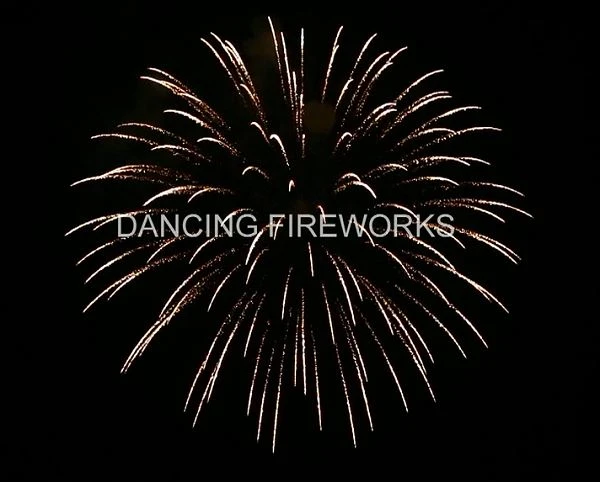 6 Inch Display Shell Brocade Effects